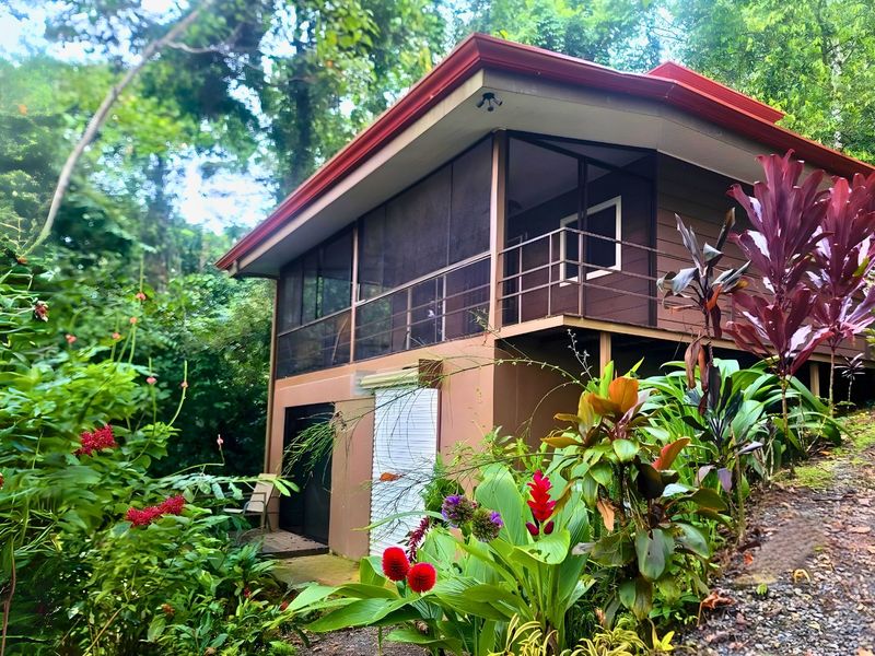 Enchanting OceanView in Osa Mountain's Tropical Paradise Exclusive